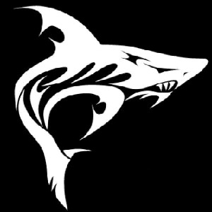 фотография k1pa k1pa