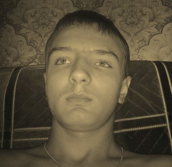quist710