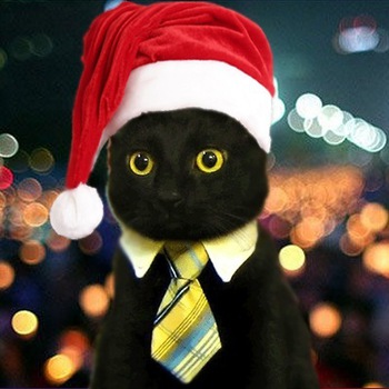 topcat