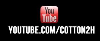 cotton7
