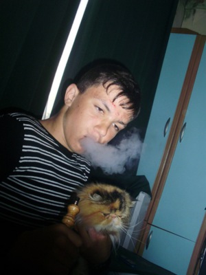 vosbe