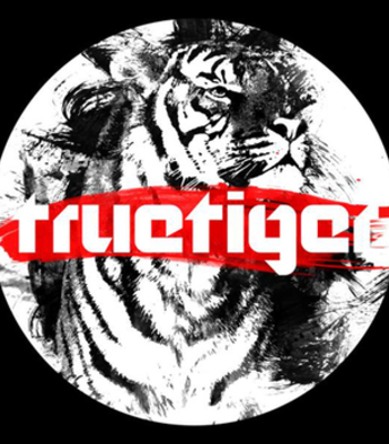 true_tiger1337