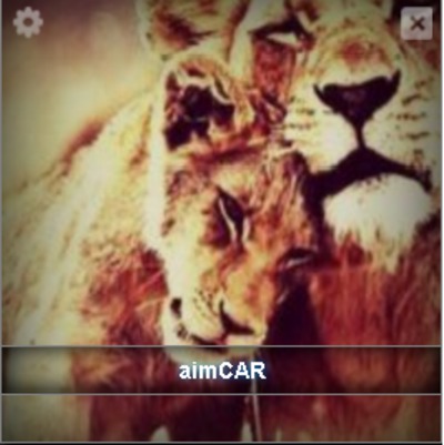 AimCAR