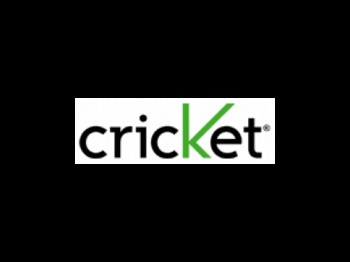 Cricket93