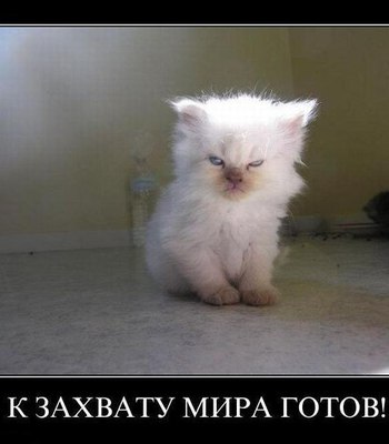 LAWNmower