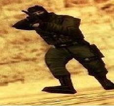 фотография semi-pro semi-pro