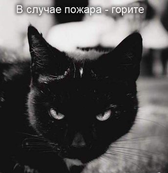 SeXoN