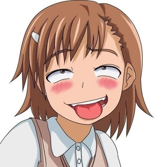 CamioFox