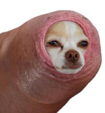 DAITEPLUSA_voskres