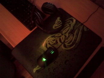 Love_Bud