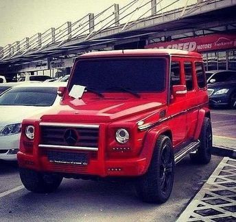 alishka981