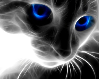 see_ip