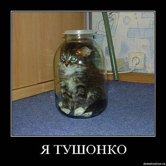 leemmoonn2