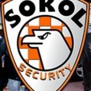 sokol25667