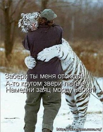 grisha102