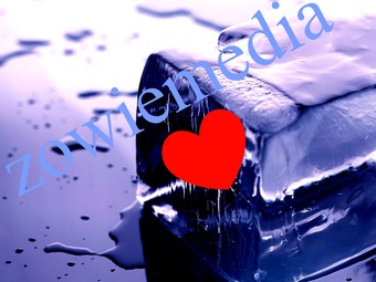 zowiemedia