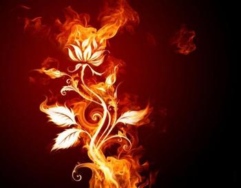 fury_of_flame