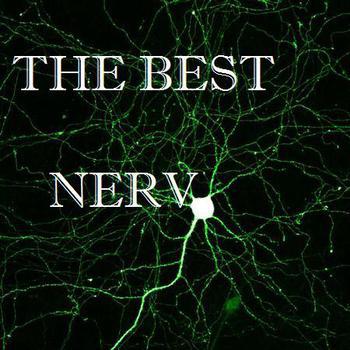 thE-bEst-nErvbI