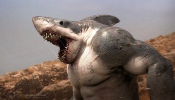 SharkwOw
